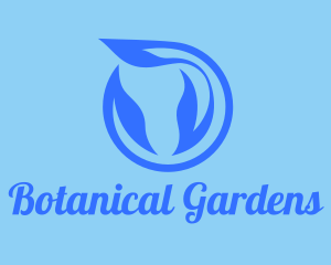 Botanical Gardens