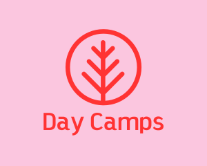 Day Camps